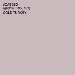 #CAB9BD - Cold Turkey Color Image